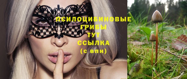 соль курить ск Горнозаводск