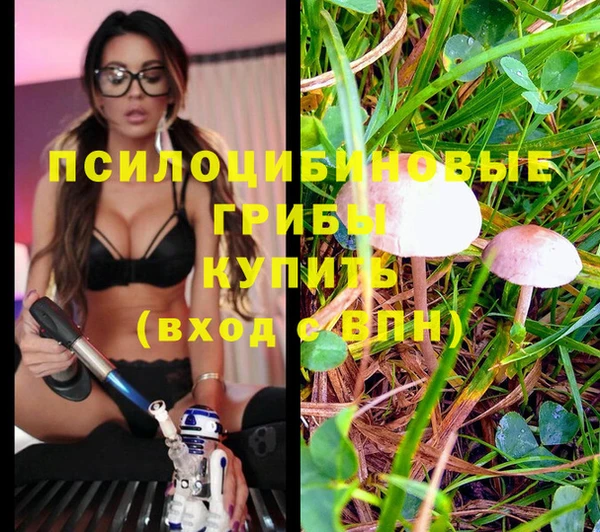 ECSTASY Горно-Алтайск